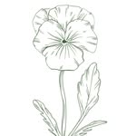 Sarah Worden Natural Design - @sarahwordennatural - Instagram