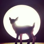Sarah Wurst - @the_daring_dandelion - Instagram