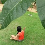 sarah yardra benjamim andrade - @yardrasarah - Instagram