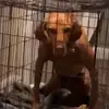sarah_zech22 - @sarah_zech22 - TikTok