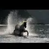 Sara Zinck - @sarazinck5 - TikTok