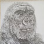 Sarah-Jane Smith - @sarahjane.smith.338 - Instagram