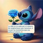 Sarai Duque - @saraiduque1 - Instagram