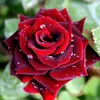 user7321817813221 - @sarbjit_kooner - TikTok