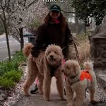 Sari Schwartz - @sariphilly - Instagram