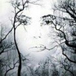 sari stevens - @sari8116 - Instagram