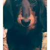 sari stevens - @vaiana0912 - TikTok