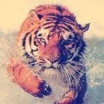 Salomov Sardor - @sari__white2 - Instagram