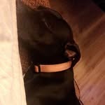 Sariah Lopez - @sariah_qween - Instagram