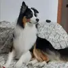 SaRiNa_RoSs_&NiNo - @saraeliseo1 - TikTok