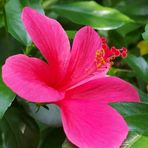 Sapna saroj chandra - Facebook