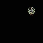 Saron Getu Kebede - @saron.rg - Instagram