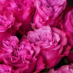 Sarwat Zafar Qureshi - @wrqureshi - Instagram