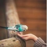 sarwatq - @sarwatqureshi2 - Instagram