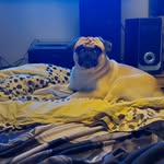 Sascha Blum - @sascha.blum.334 - Instagram