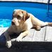 Sascha Wagner - Facebook