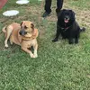 Sasha&Bailey - @sashaandbailey - TikTok