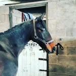 sasha barker - @sasha_barker1239 - Instagram