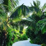 Sasha - @sasha_baxter__0cd - Instagram