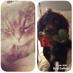 Sasha&Baxter - @sashabaxter6877 - Instagram