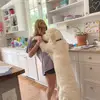 Sasha - @sashagblack_ - TikTok