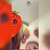 sashaboyd3 - @sashaboyd3 - TikTok