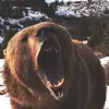 ooo00o00ooo - @sashabull93 - TikTok
