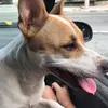 Sasha - @_sasha_bull - TikTok