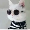 Sasha_bull - @sasha_bull - TikTok