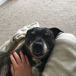 🐾Sasha Scott🐾 - @sashabulls_2005 - Instagram
