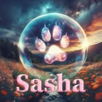 @sashabullterrier2020 - Instagram