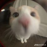 Sasha!! - @sasha_cabrera6 - Instagram