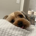 Sasha Castillo Angulo - @itssashadog2 - Instagram