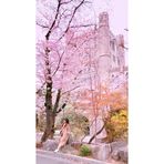 Sasha Chang - Facebook