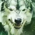 Sasha_Collins - @sash.acollins - Instagram