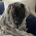 @sashacoon - Instagram