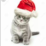 Sasha_cote. - @sasha_cote.3547 - Instagram