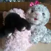 САША КРАФТ 666 - @sashacraft666 - TikTok