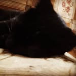 Sasha Craft - @alex001cher - Instagram