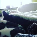 Sasha Davidson - @sashadavidson5 - Instagram