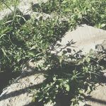 Sasha Davidson - @_sashadavidson_ - Instagram