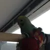 Sasha Day - @sashaday2410 - TikTok