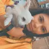 Chihuahuapuppies.london - @sashadevere - TikTok