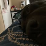 Sasha duncan - @sasha.dunkin - Instagram