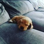 sasha duncan - @sashaduncan3 - Instagram