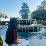 Sasha Reddy - @sashareddy2 - Instagram