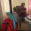 Sasha Foster - @sashafoster31 - TikTok
