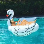 Sasha Gilbert - @sashgilbs - Instagram