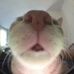 Sasha Hackett - Facebook