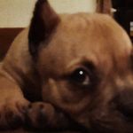 Sasha Hammerfist - @sashahammerfist - Instagram